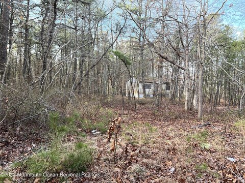 Highway Commercial Land in Jackson