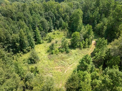 29 Acres in Slocum ISD