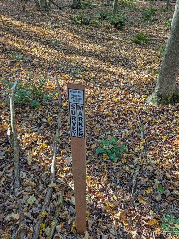 Picture 16