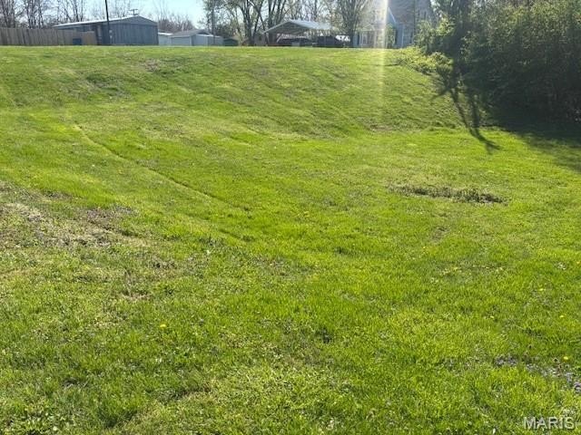 Picture 3