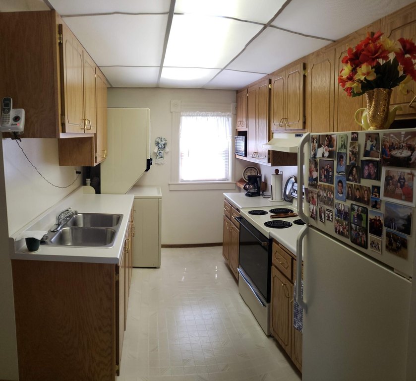 Picture 6