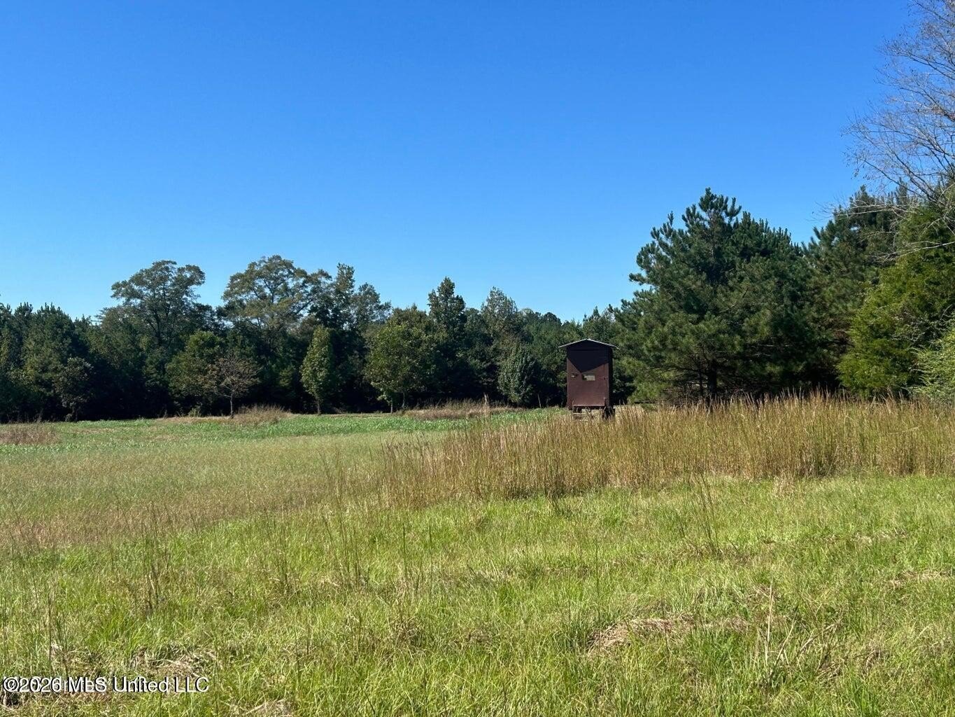 85 Acres of Recreational Land