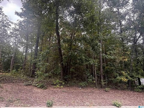 LAND/LOTS, LAKEVIEW, AL