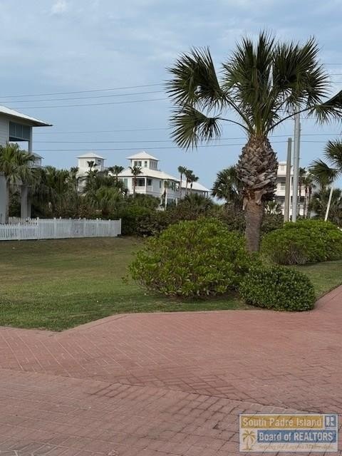 Picture 2
