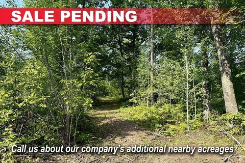 Wooded Recreational Land
