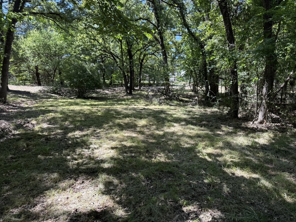 Picture 18