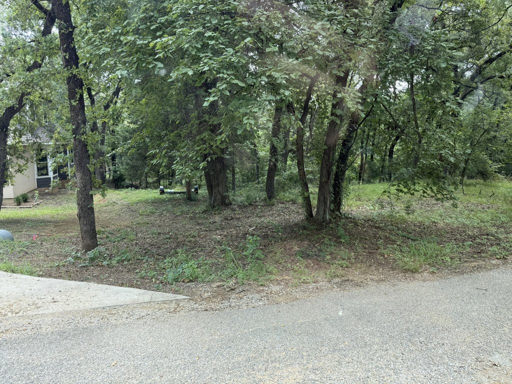 Picture 10