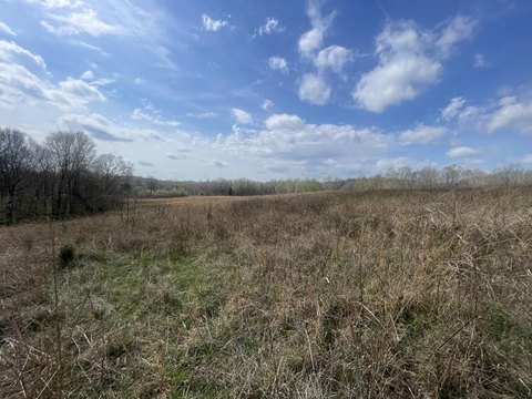 Butler County Hunting & Cropland Tracts