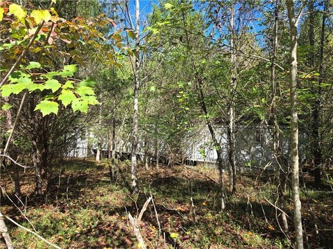 Land, Hamptonville, NC