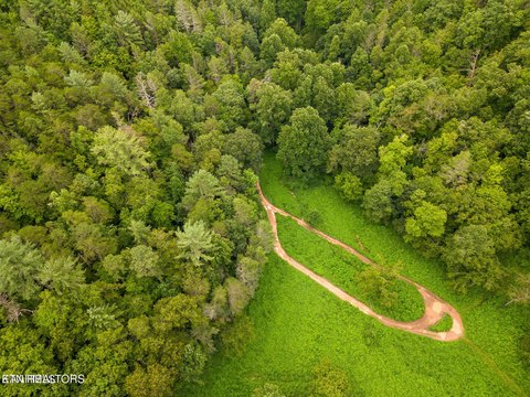 LAND - Sevierville, TN