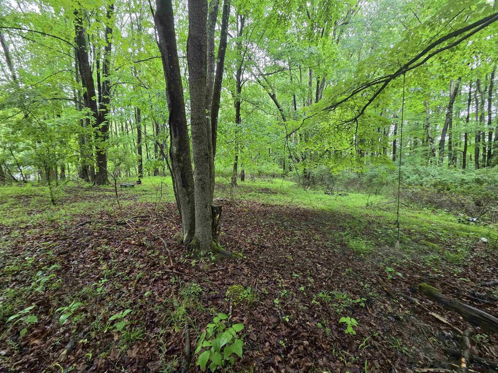 Picture 21