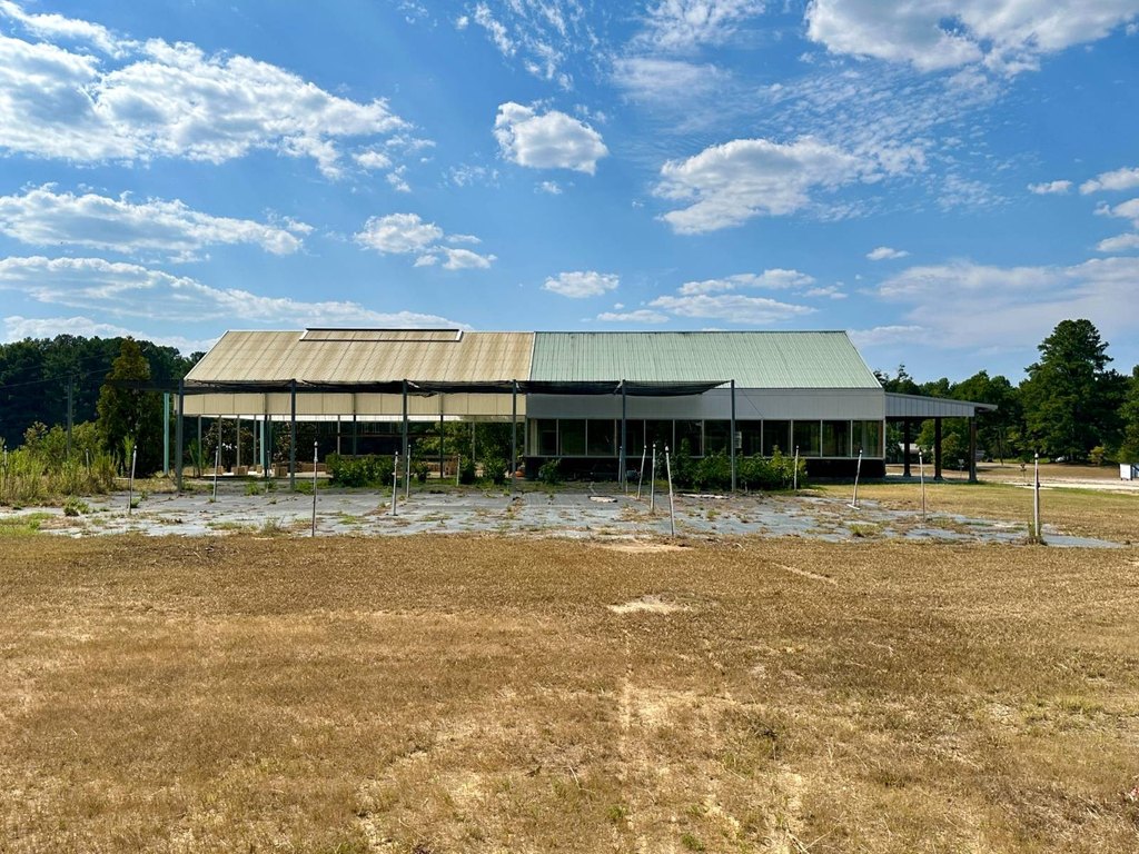 Picture 19