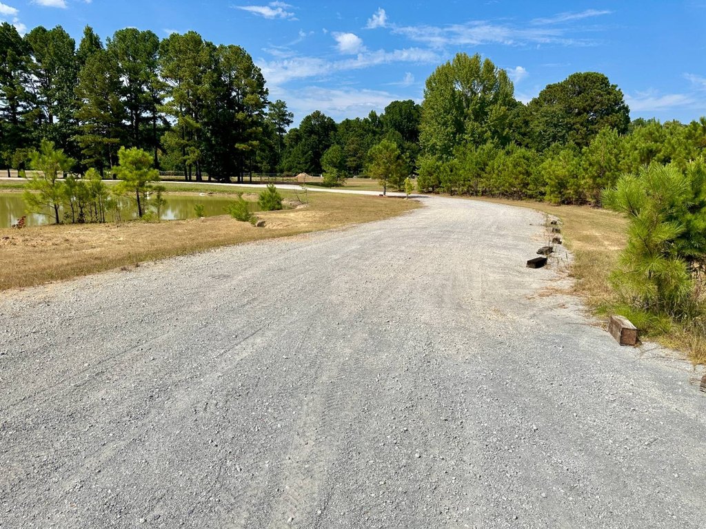 Picture 23