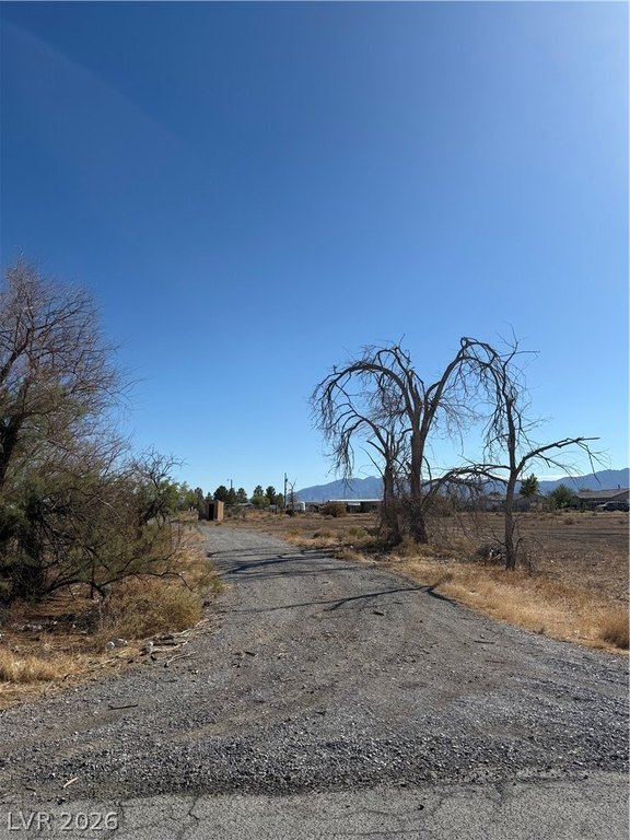 Picture 7
