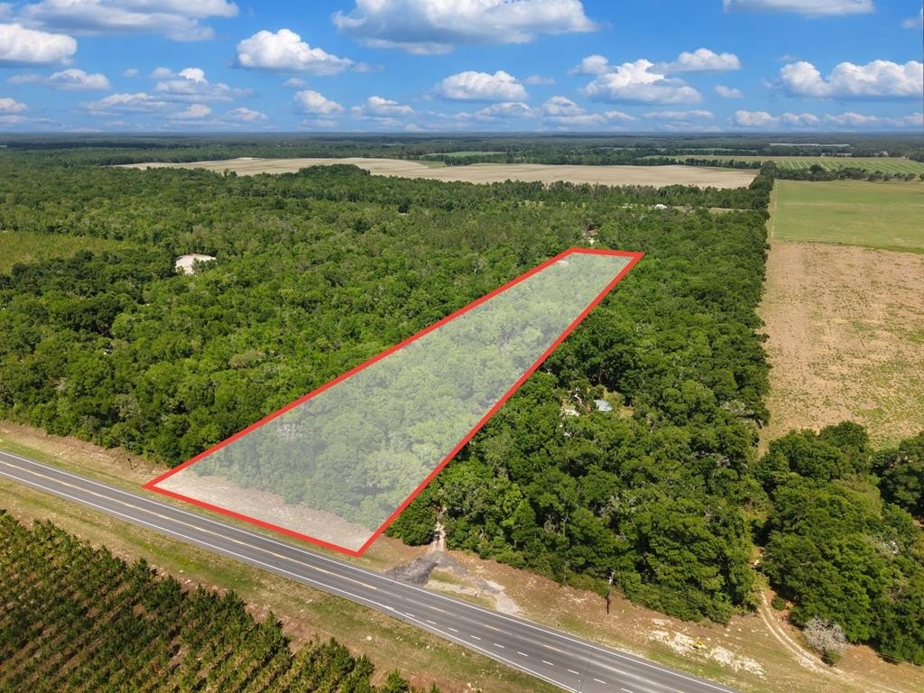 5 Acres in Gilchrist County