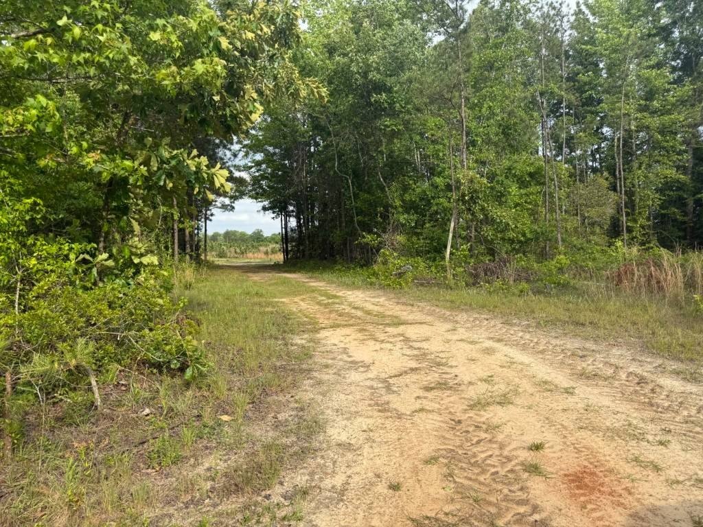 Picture 4