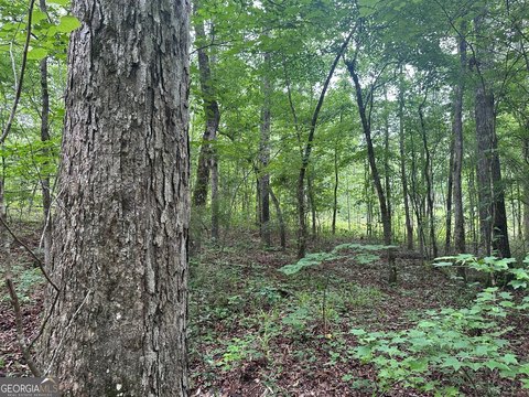 Land in Hillcrest Area