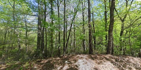 LAND - Lake Lure, NC