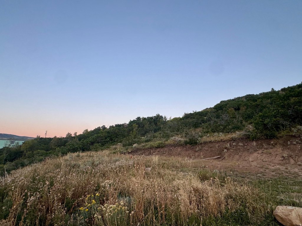 Picture 24