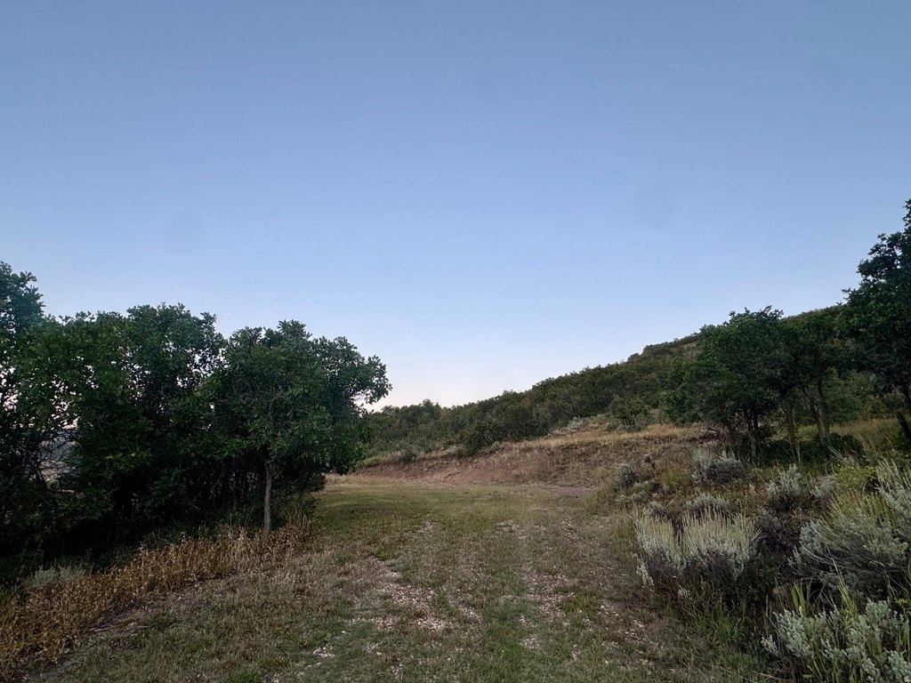 Picture 22