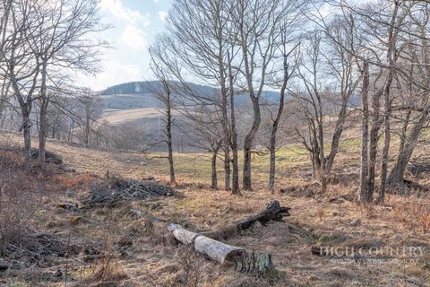 Land, Banner Elk, NC