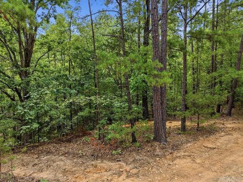 Vacant Land, Quitman, AR