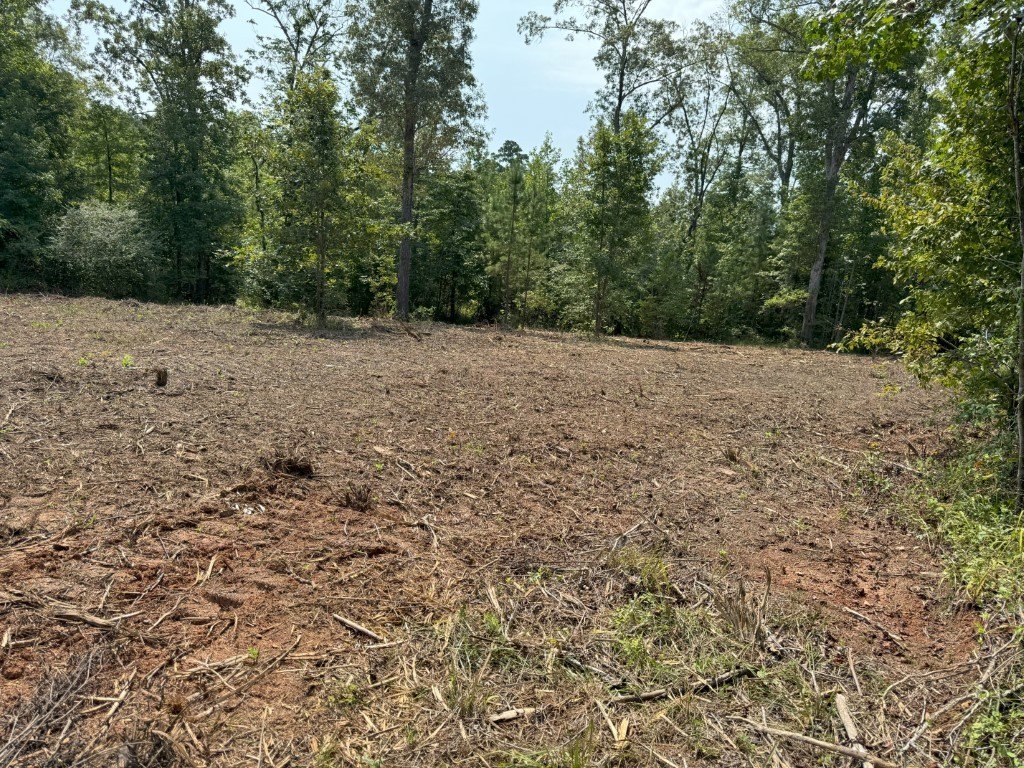 Picture 37