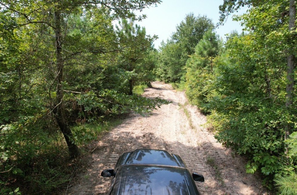 Picture 23