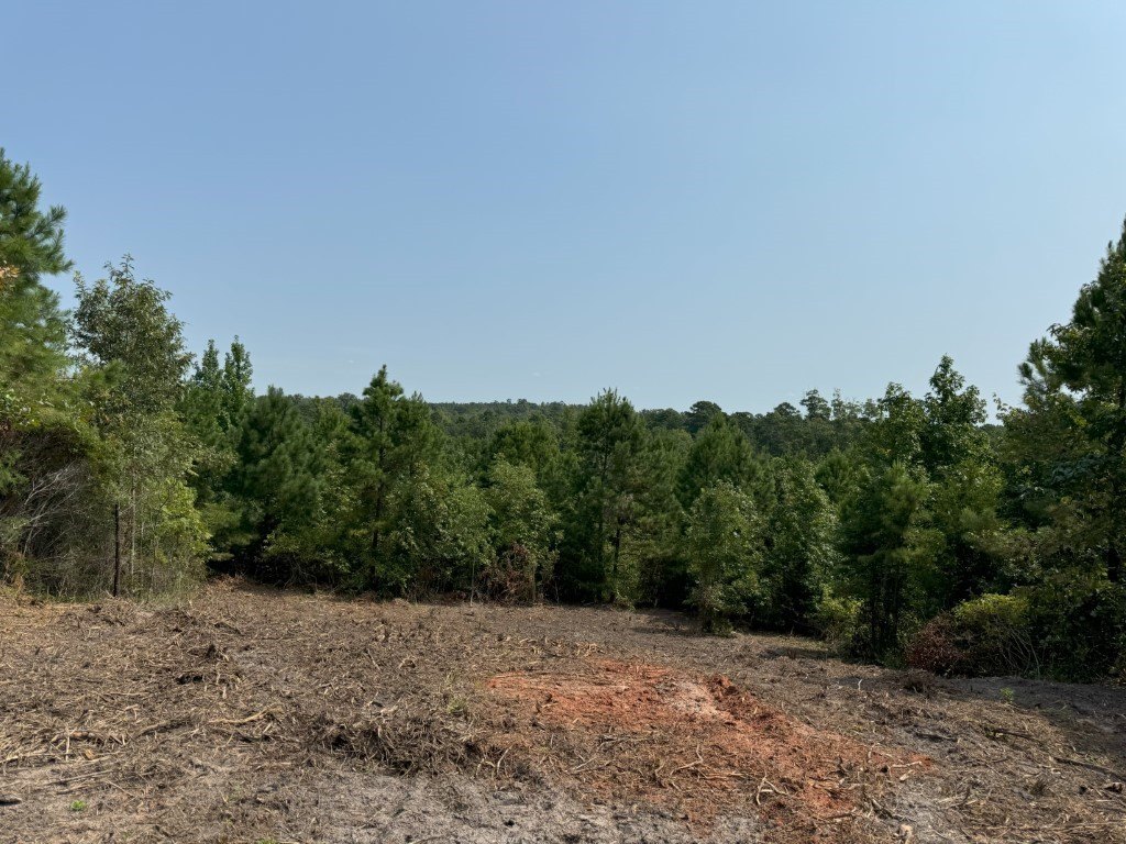 Picture 36