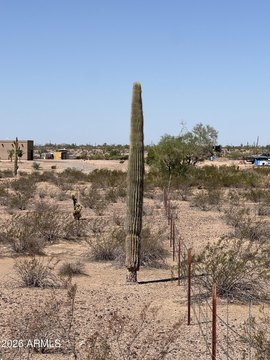Land, Tonopah, AZ