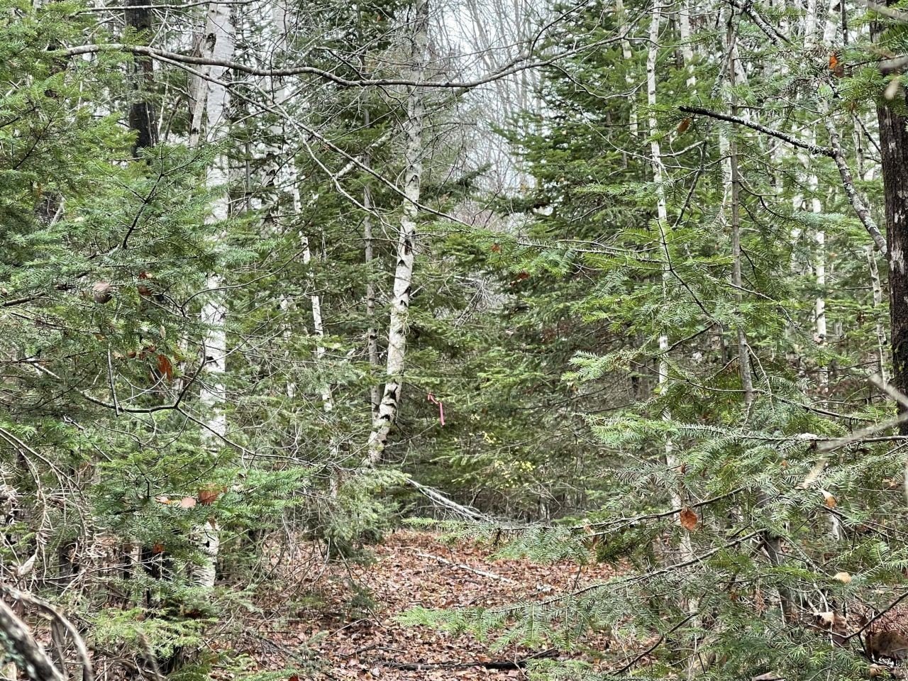 Thorndike, ME Off-Grid Land