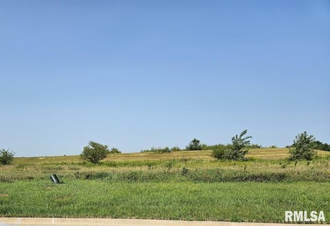 Golf Course Lot in Metamora