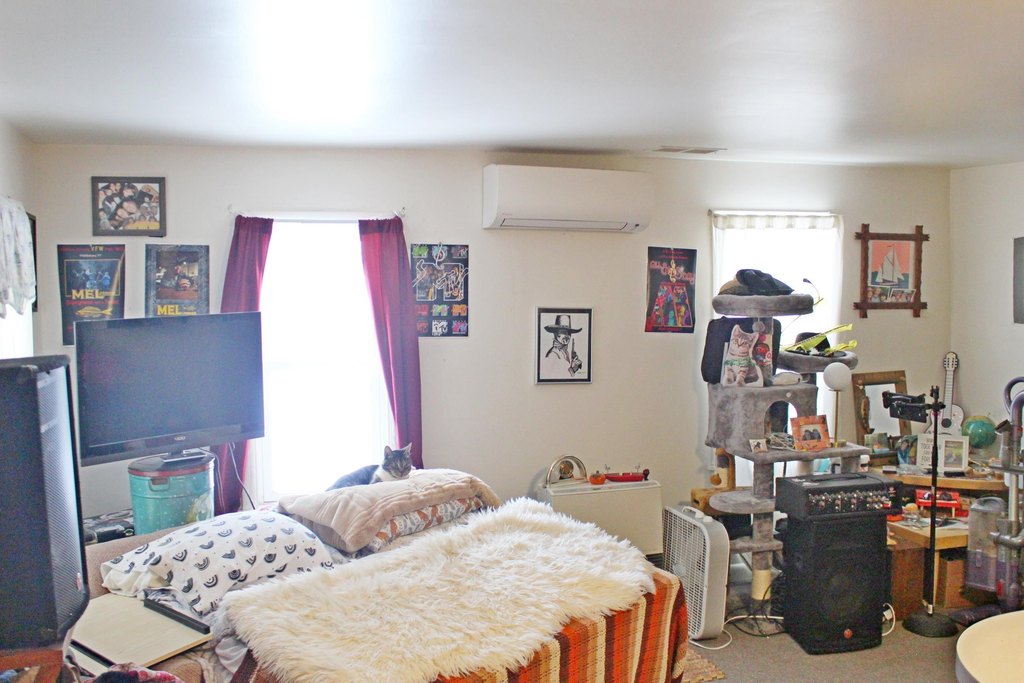 Picture 12