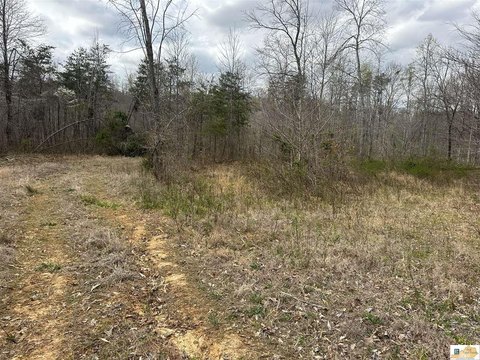 Tompkinsville, KY Land Opportunity