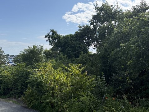 Land, Gloucester, MA