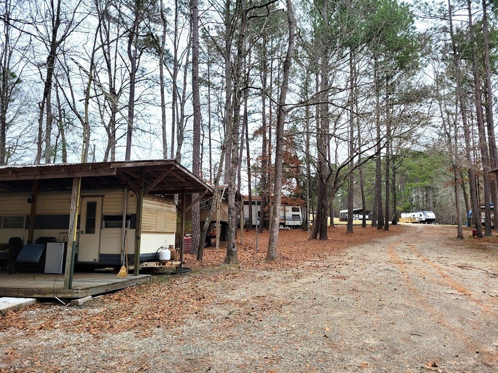 Picture 6