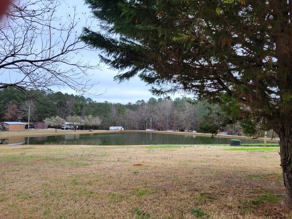 Picture 27