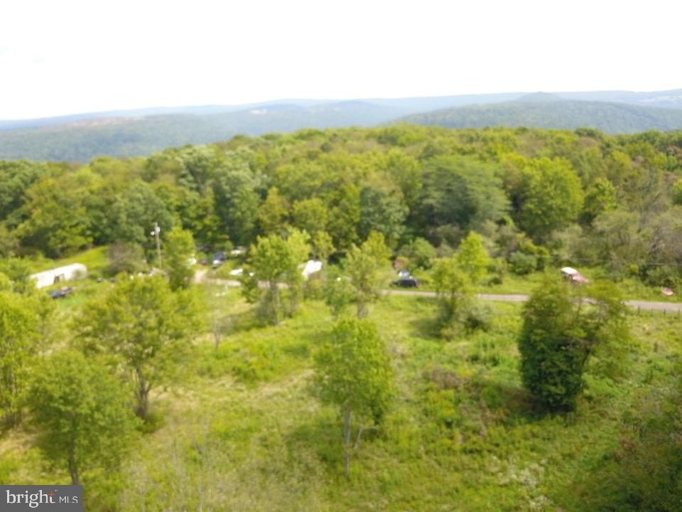 Picture 29