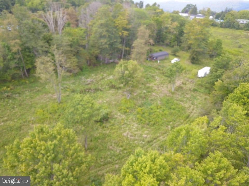 Picture 6