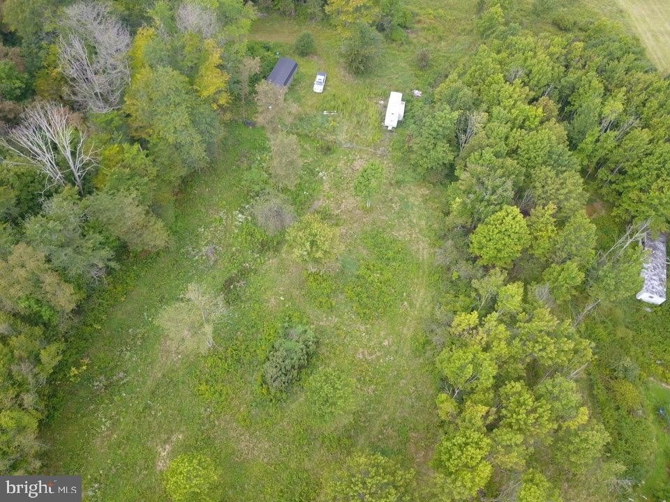 Picture 14