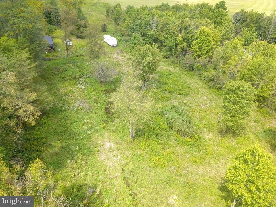 Picture 17