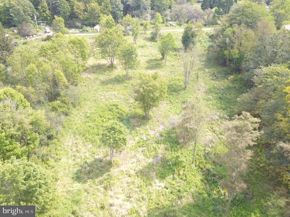 Picture 10
