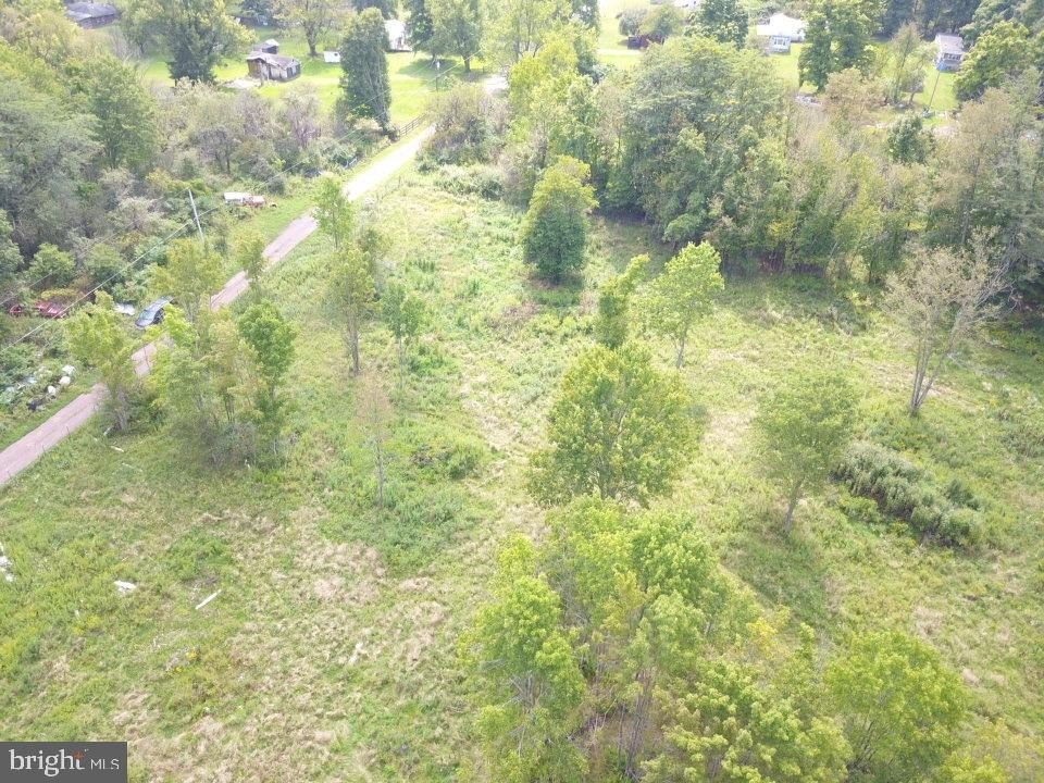 Picture 24