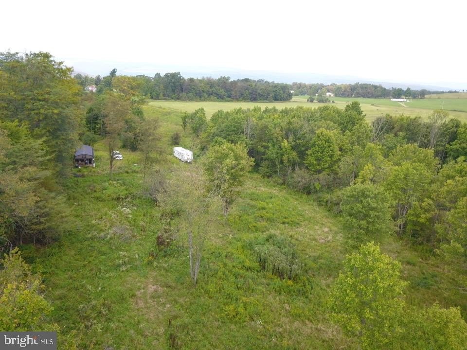 Picture 16