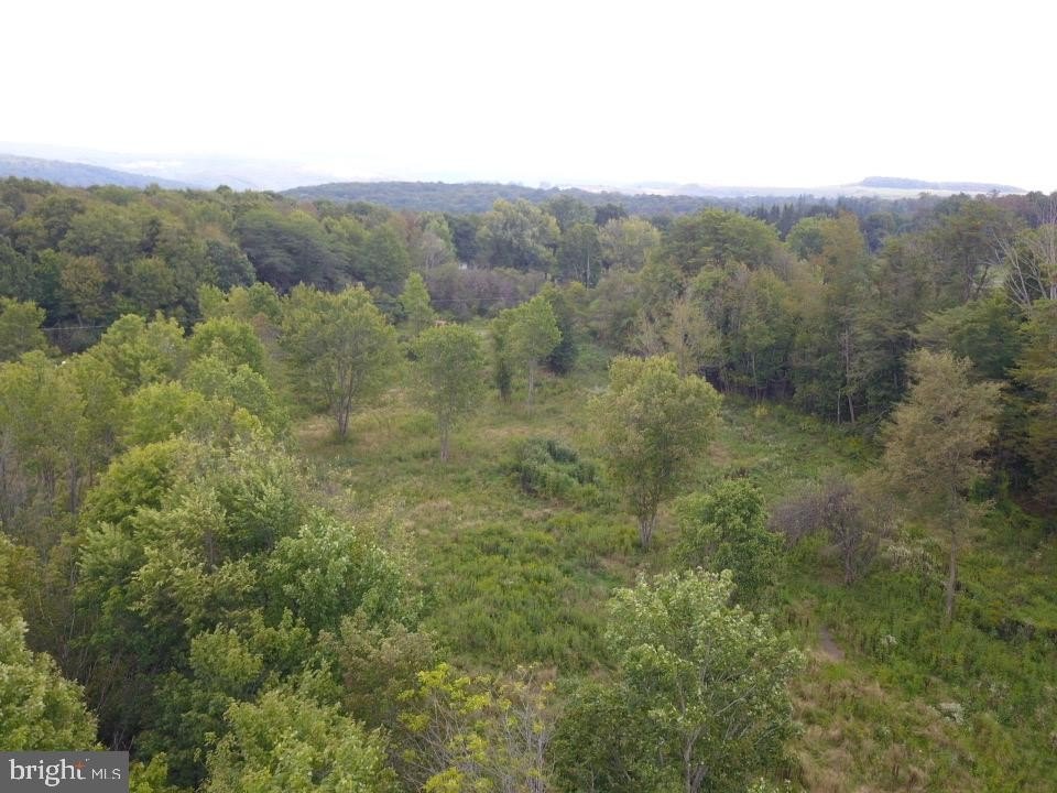 Picture 19
