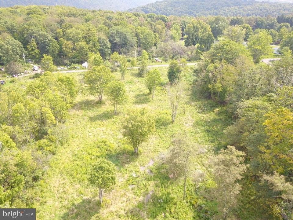 Picture 7
