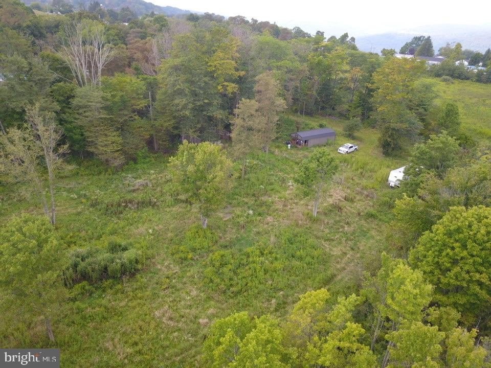Picture 13