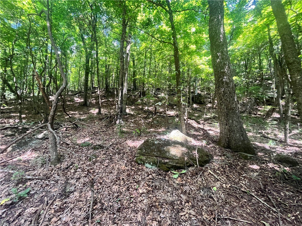 Picture 23
