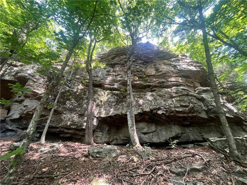 Picture 20