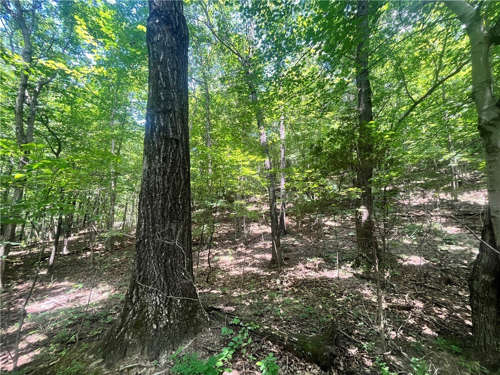 Picture 18